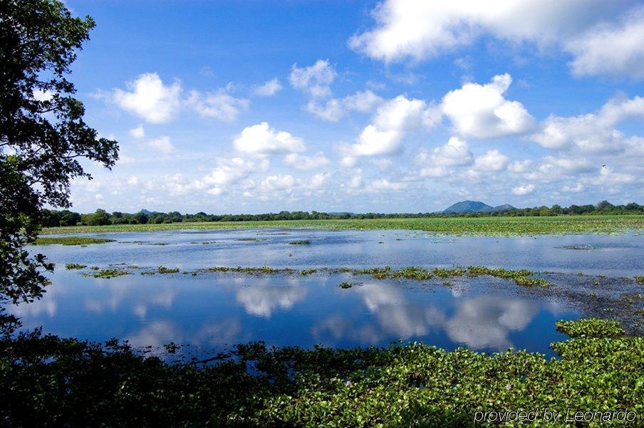 Hotel Uga Ulagalla Sigiriya Servizi foto